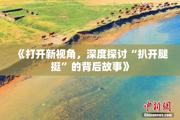 《打开新视角，深度探讨“扒开腿挺”的背后故事》