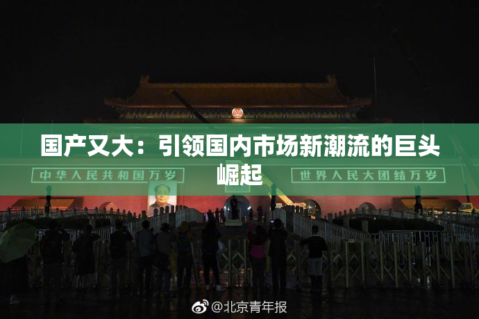 国产又大：引领国内市场新潮流的巨头崛起
