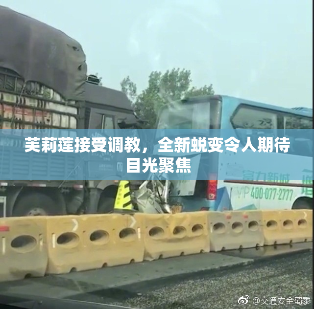 芙莉莲接受调教，全新蜕变令人期待目光聚焦