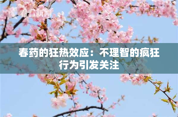 春药的狂热效应：不理智的疯狂行为引发关注