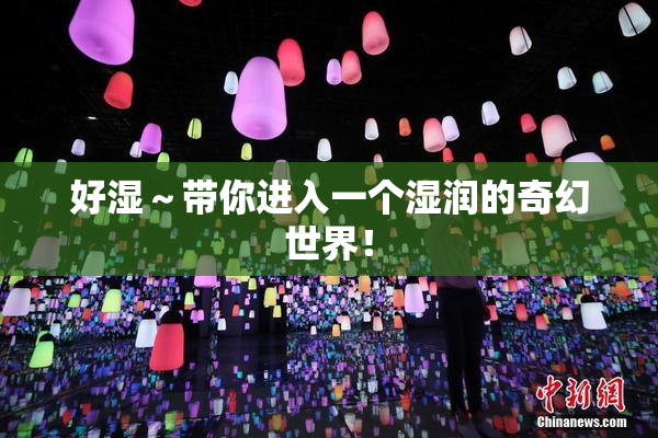 好湿～带你进入一个湿润的奇幻世界！