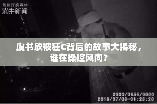 虞书欣被狂C背后的故事大揭秘，谁在操控风向？