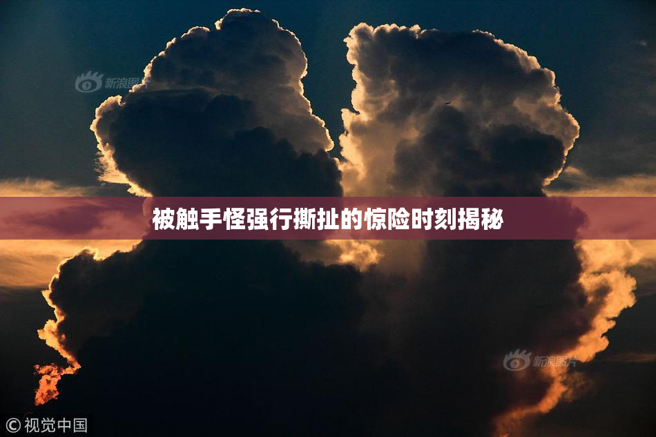 被触手怪强行撕扯的惊险时刻揭秘