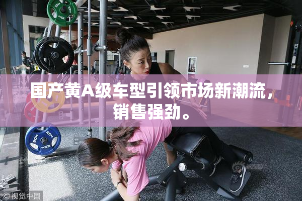 国产黄A级车型引领市场新潮流，销售强劲。