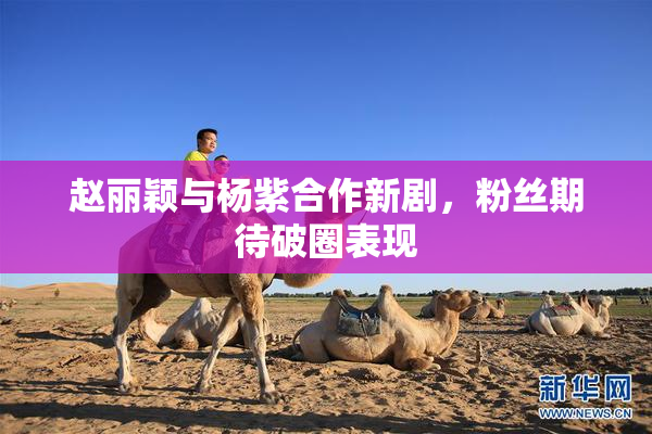 赵丽颖与杨紫合作新剧，粉丝期待破圈表现