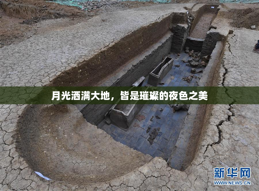 月光洒满大地，皆是璀璨的夜色之美