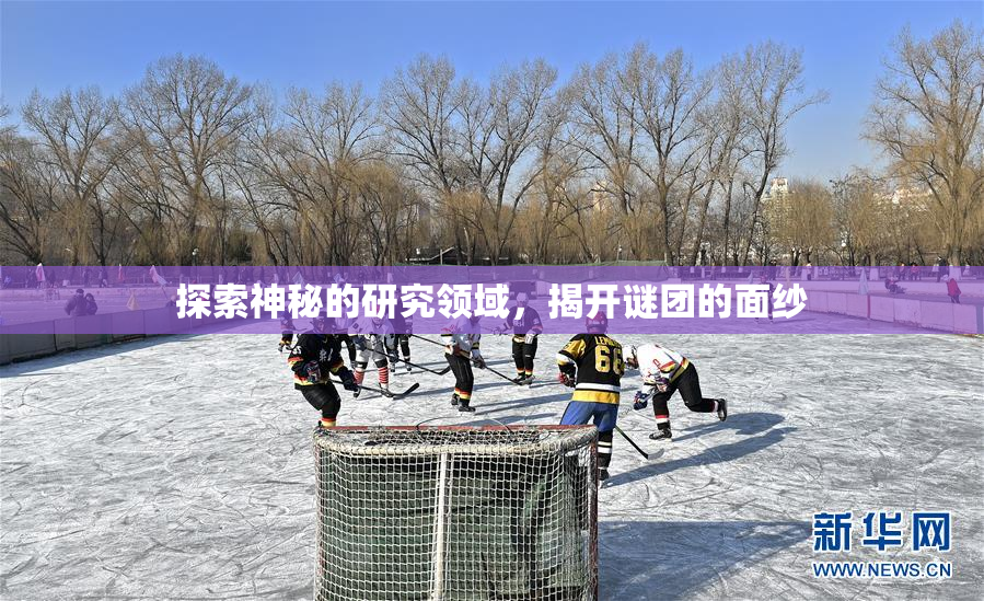 探索神秘的研究领域，揭开谜团的面纱