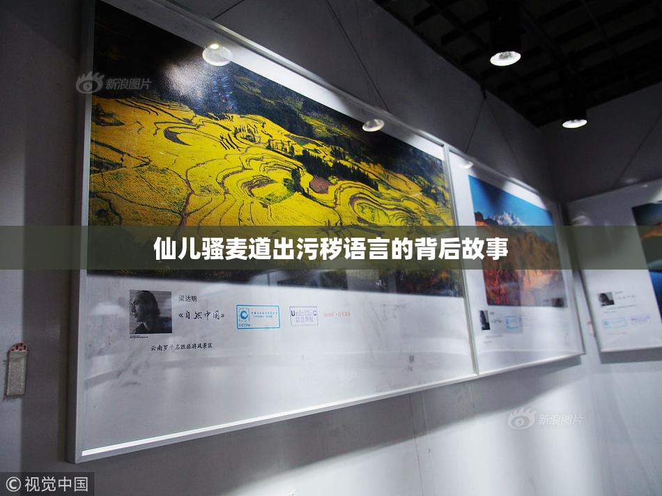 仙儿骚麦道出污秽语言的背后故事