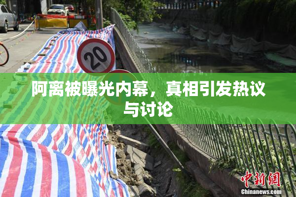 阿离被曝光内幕，真相引发热议与讨论