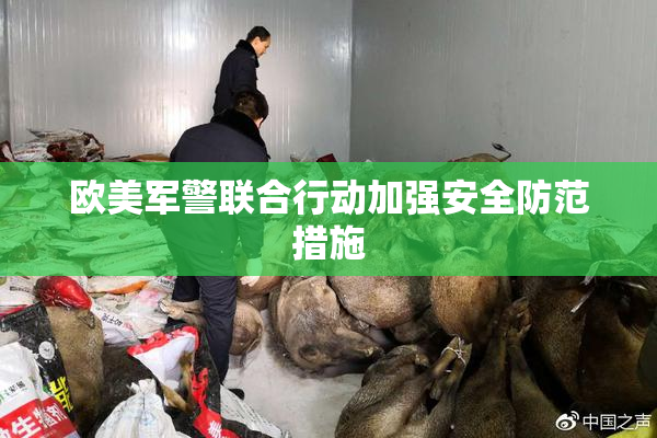 欧美军警联合行动加强安全防范措施