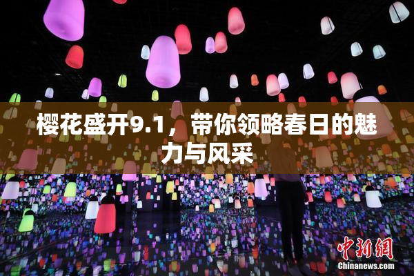 樱花盛开9.1，带你领略春日的魅力与风采