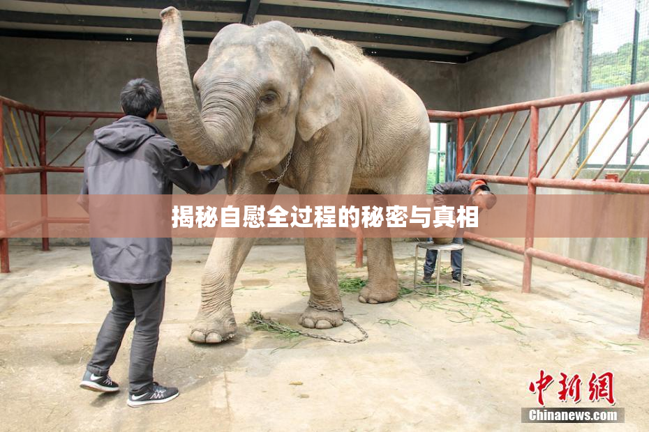 揭秘自慰全过程的秘密与真相