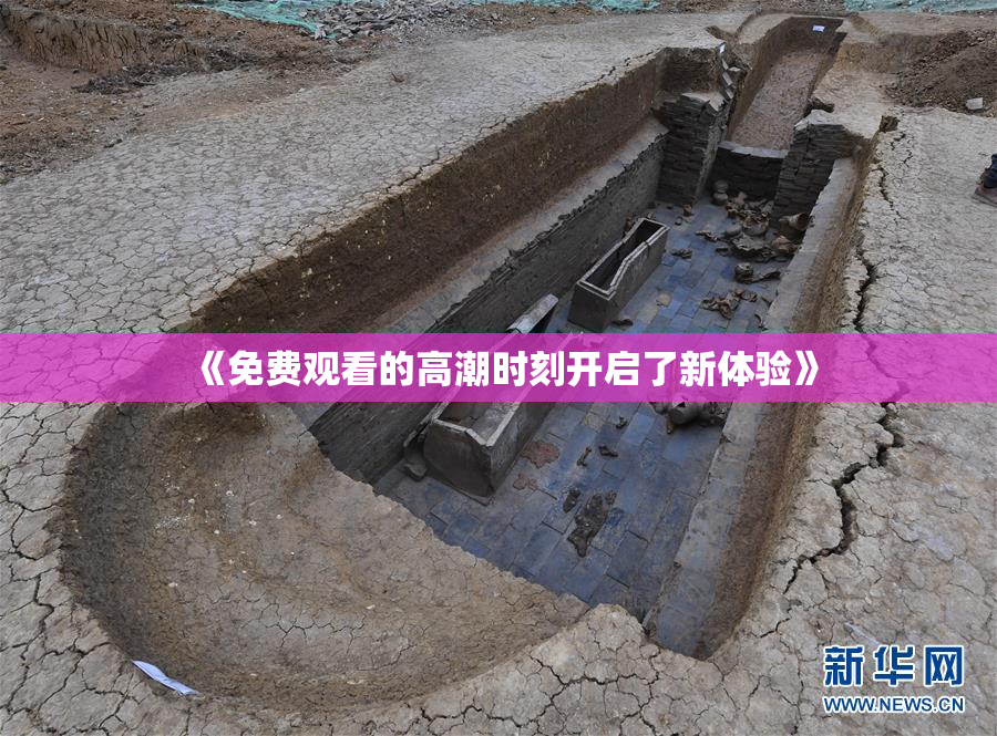 《免费观看的高潮时刻开启了新体验》