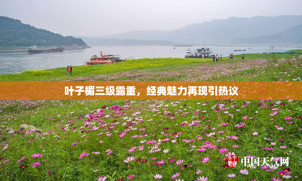 叶子楣三级露重，经典魅力再现引热议