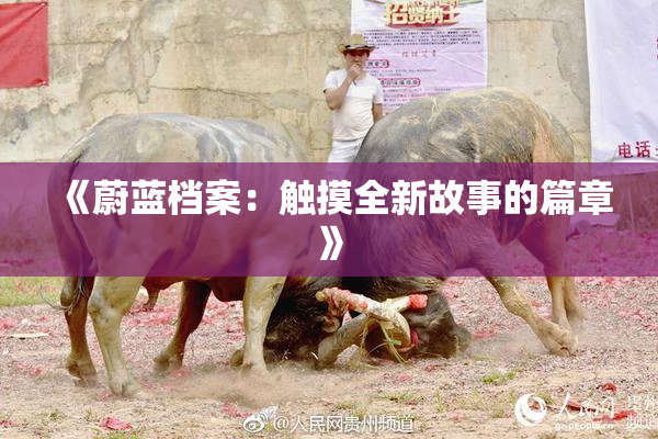 《蔚蓝档案：触摸全新故事的篇章》