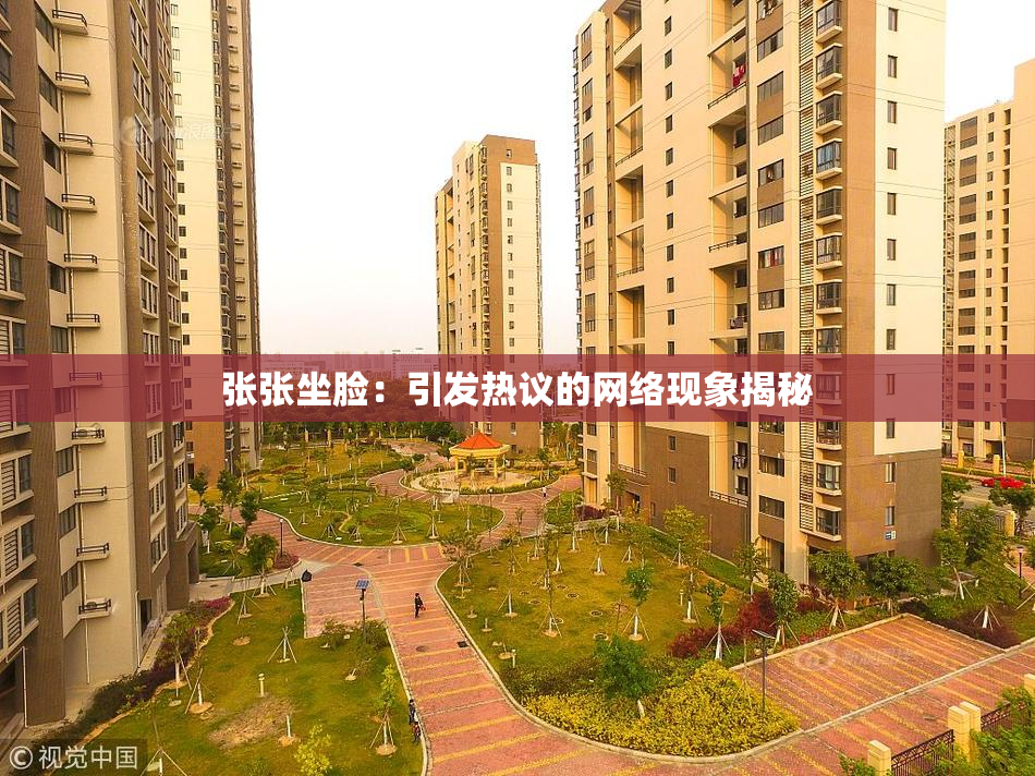 张张坐脸：引发热议的网络现象揭秘