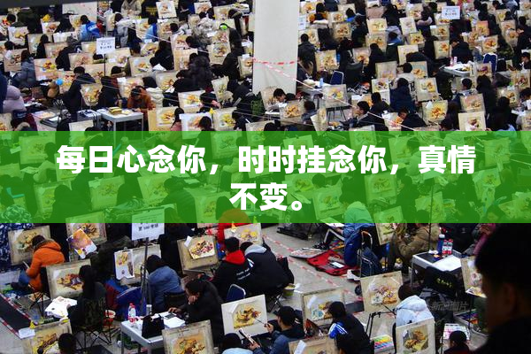 每日心念你，时时挂念你，真情不变。