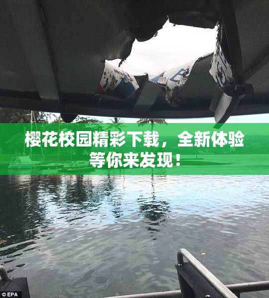 樱花校园精彩下载，全新体验等你来发现！