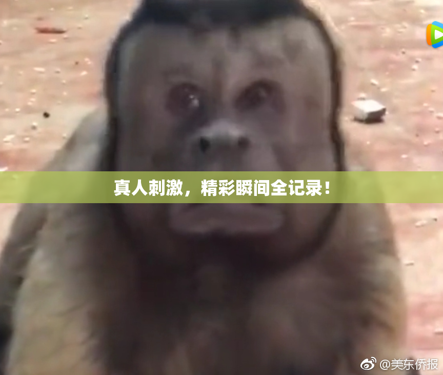 真人刺激，精彩瞬间全记录！