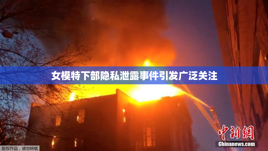 女模特下部隐私泄露事件引发广泛关注