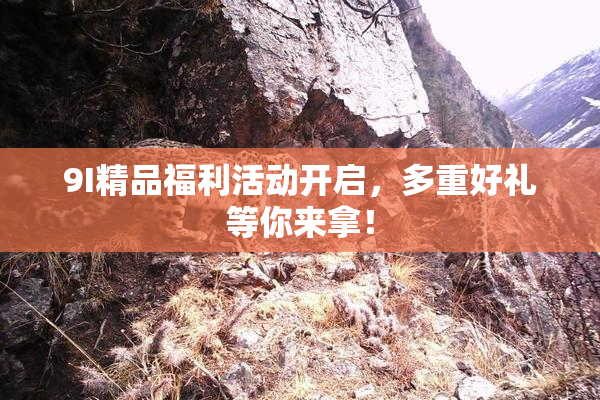 9I精品福利活动开启，多重好礼等你来拿！