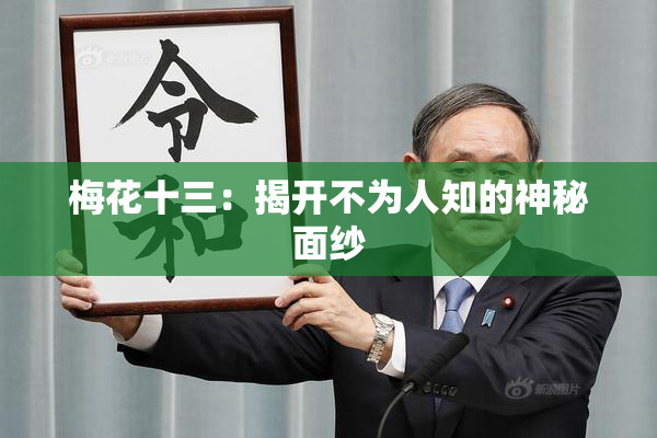 梅花十三：揭开不为人知的神秘面纱