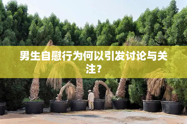男生自慰行为何以引发讨论与关注？