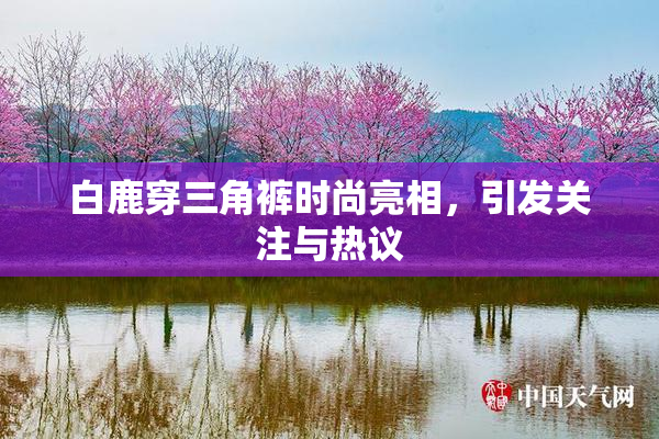 白鹿穿三角裤时尚亮相，引发关注与热议