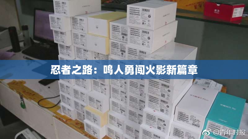 忍者之路：鸣人勇闯火影新篇章