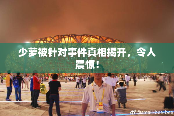 少萝被针对事件真相揭开，令人震惊！