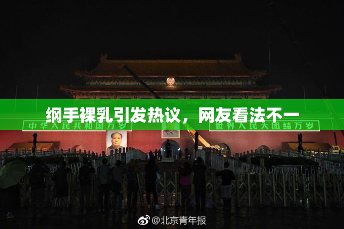 纲手裸乳引发热议，网友看法不一