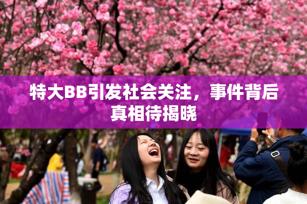 特大BB引发社会关注，事件背后真相待揭晓