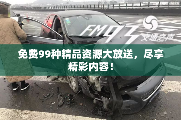 免费99种精品资源大放送，尽享精彩内容！