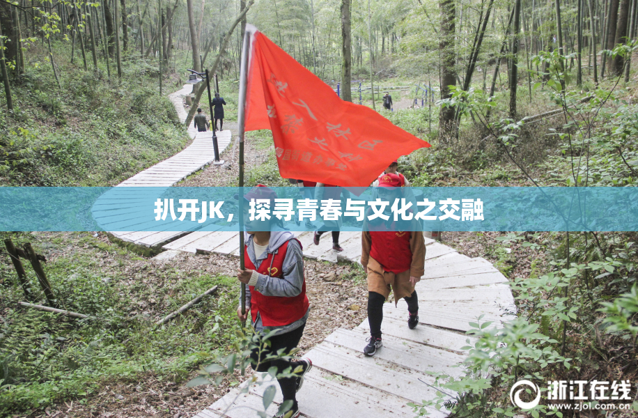 扒开JK，探寻青春与文化之交融