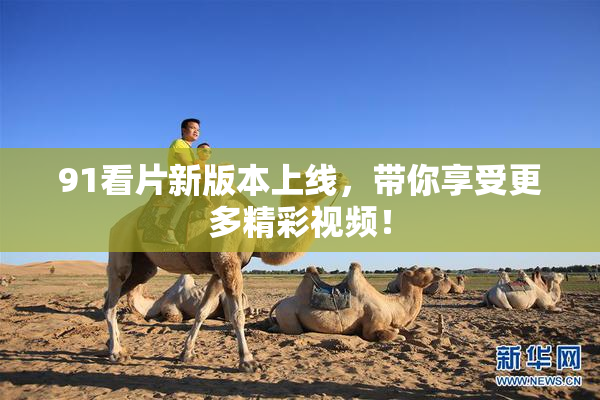 91看片新版本上线，带你享受更多精彩视频！