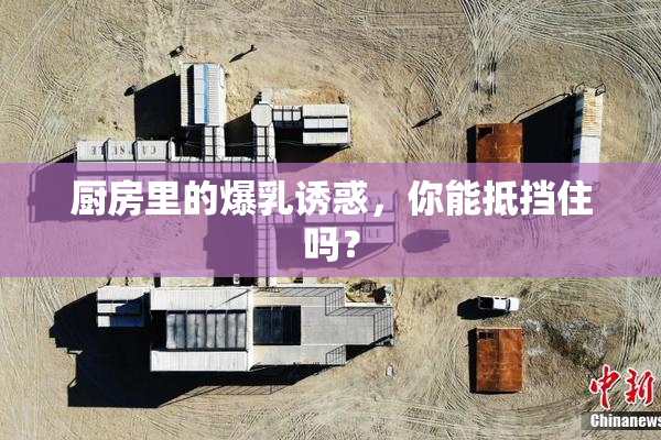 厨房里的爆乳诱惑，你能抵挡住吗？