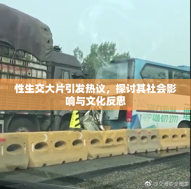 性生交大片引发热议，探讨其社会影响与文化反思