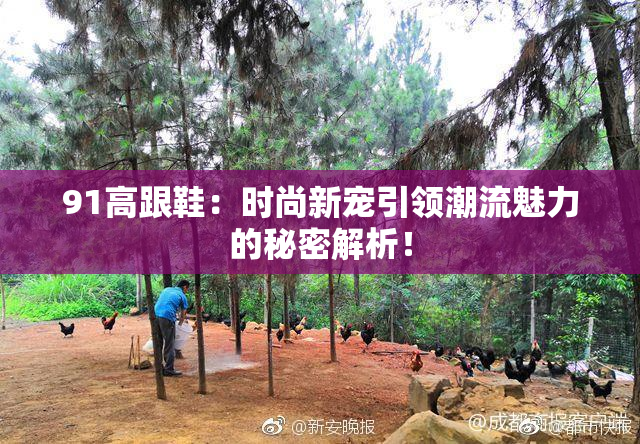 91高跟鞋：时尚新宠引领潮流魅力的秘密解析！