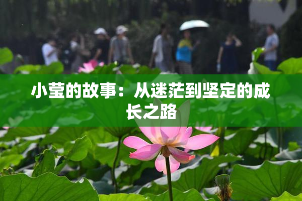 小莹的故事：从迷茫到坚定的成长之路