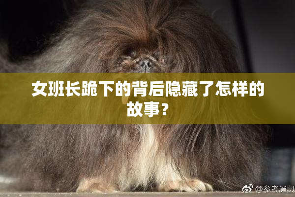 女班长跪下的背后隐藏了怎样的故事？