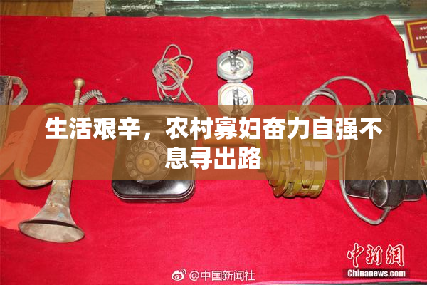 生活艰辛，农村寡妇奋力自强不息寻出路