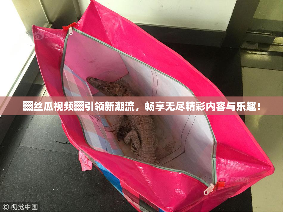 ▓丝瓜视频▓引领新潮流，畅享无尽精彩内容与乐趣！