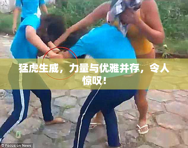 猛虎生威，力量与优雅并存，令人惊叹！