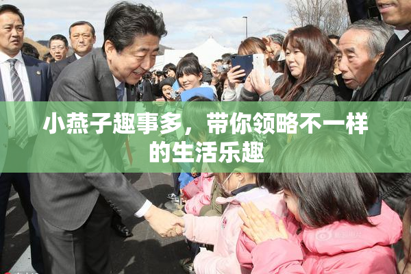 小燕子趣事多，带你领略不一样的生活乐趣