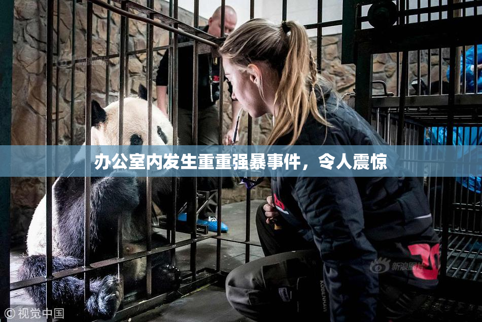 办公室内发生重重强暴事件，令人震惊