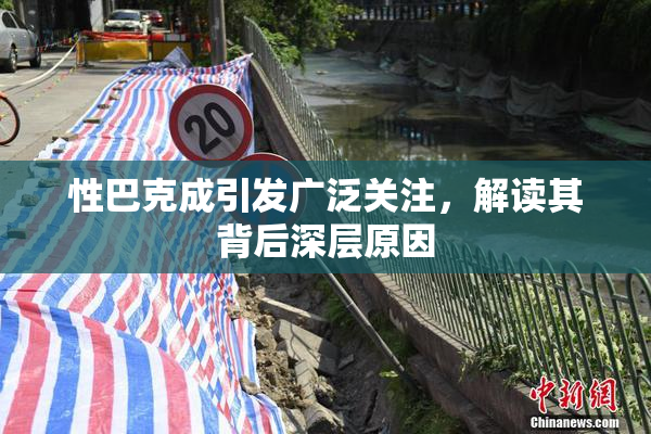 性巴克成引发广泛关注，解读其背后深层原因