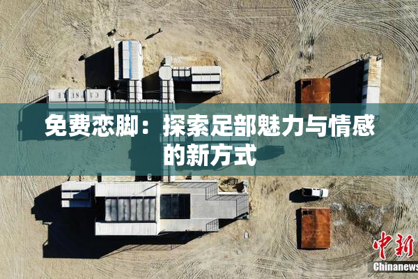 免费恋脚：探索足部魅力与情感的新方式