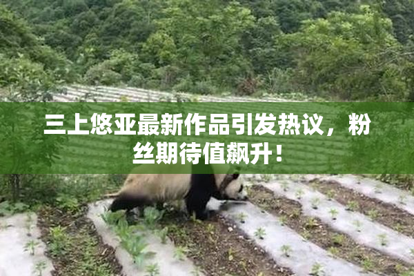 三上悠亚最新作品引发热议，粉丝期待值飙升！