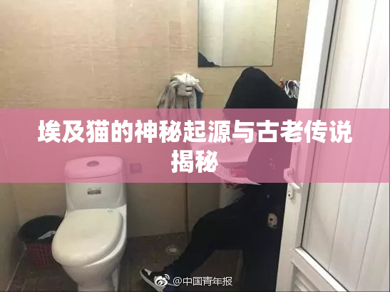 埃及猫的神秘起源与古老传说揭秘