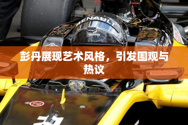 彭丹展现艺术风格，引发围观与热议